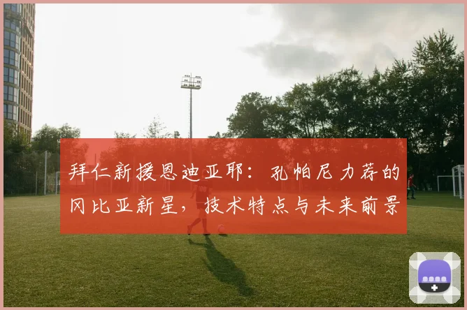 拜仁新援恩迪亚耶：孔帕尼力荐的冈比亚新星，技术特点与未来前景解析
